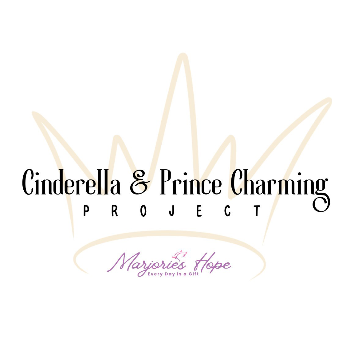 Cinderella Prince Charles Project